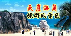 骚屄越日爽爽的免费视频海南三亚-天崖海角旅游风景区